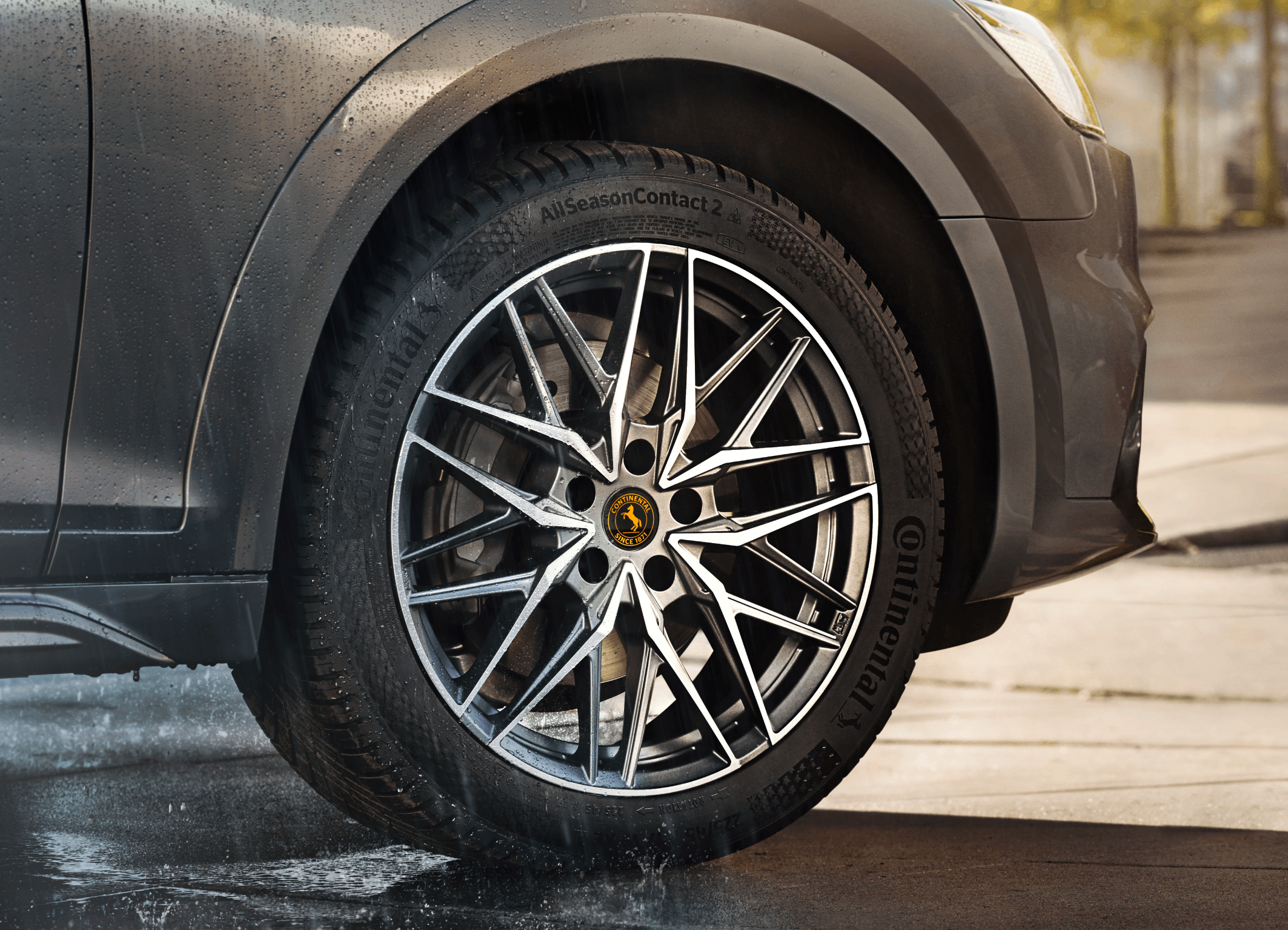 CONTINENTAL ALL SEASON CONTACT