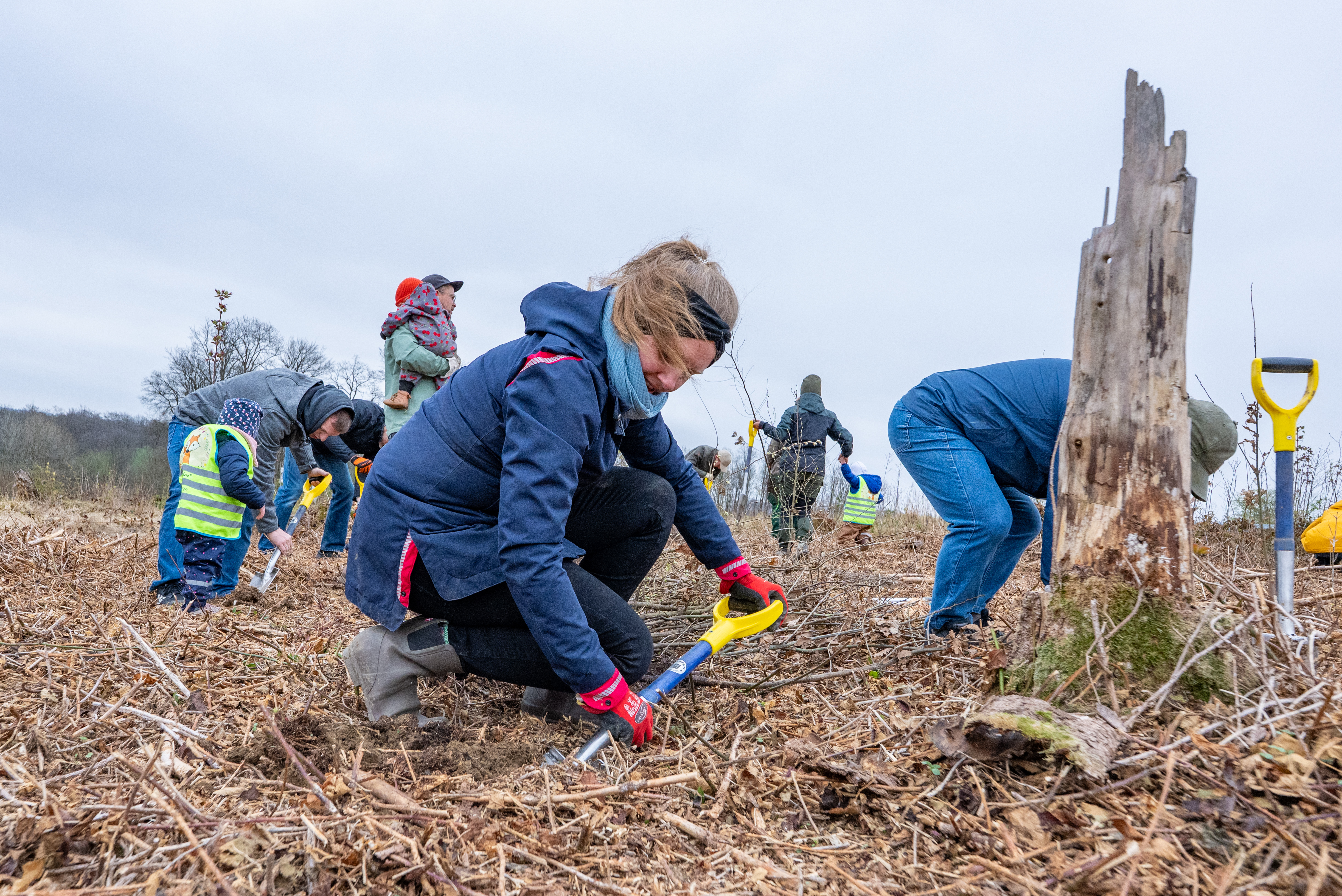 Continental und PLANT-MY-TREE. Die Stiftung.: Nachhaltige Aufforstung und  Bildung - Continental AG