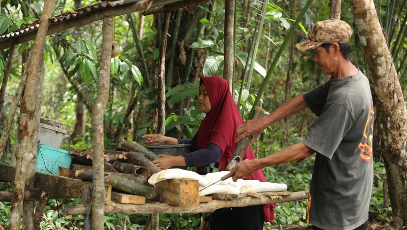 Sustainable Rubber Supply Chain5_Continental_GIZ Canopy Indonesia