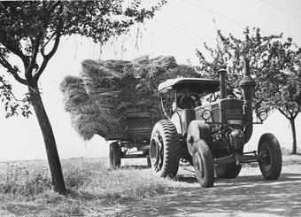 T3-Reifen am Traktor  1959