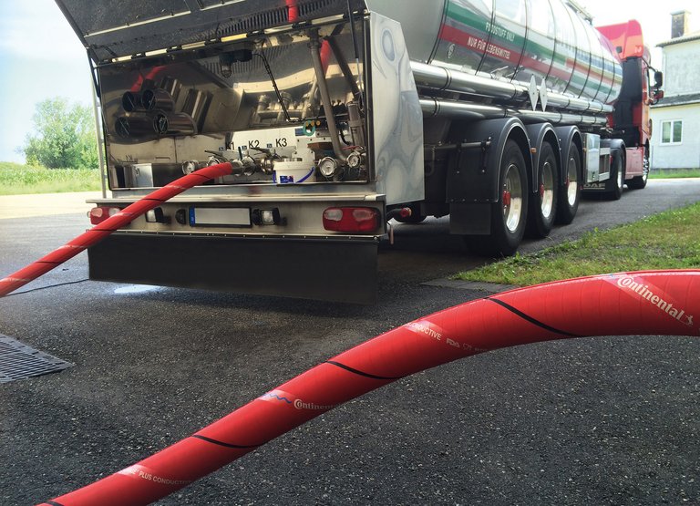 Purple Snake Plus Conductive