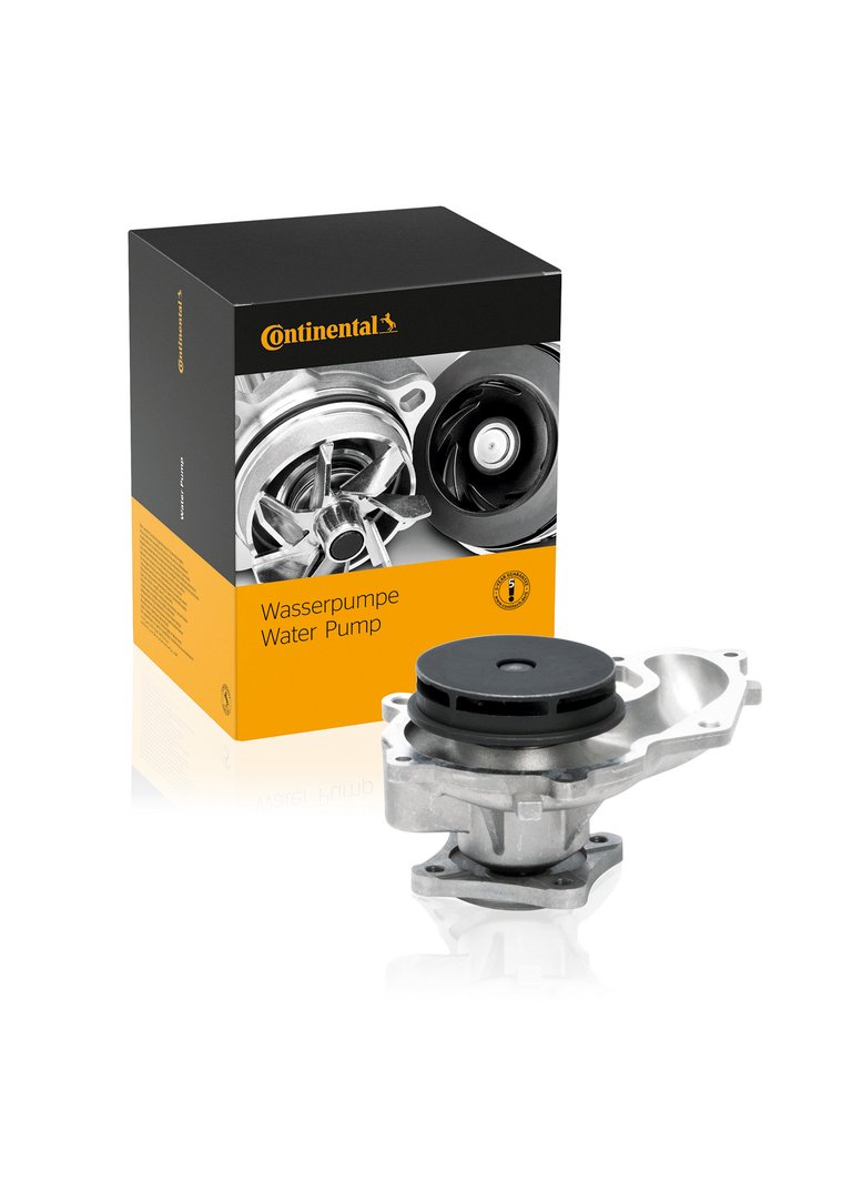 Wasserpumpe