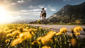 Tires: Our Responsibility