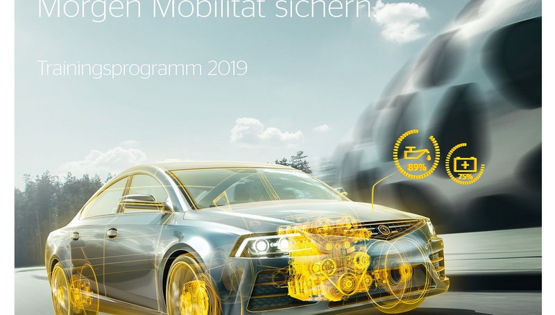 Caption Continental_Training_Program_2019.jpg