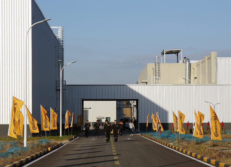 Photo of the new plant