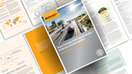 Berichterstattung und Downloads