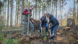 Continental pflanzt 1.500 neue Bäume im Deister