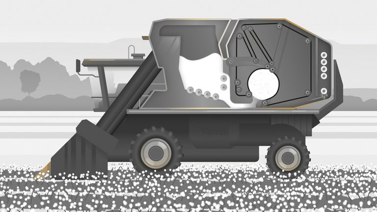 Continental_PP_CottonBalerBelt1