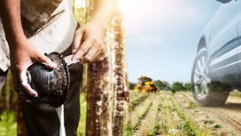 Nachhaltigere Reifen: Continental erhöht Anteil nachwachsender und recycelter Materialien