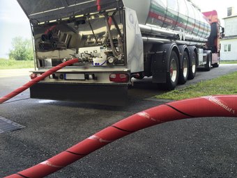 Purpurschlange Plus Conductive