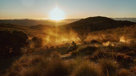 Continental präsentiert breites Angebot für die Zweiradbranche auf Motorradmesse EICMA 2024