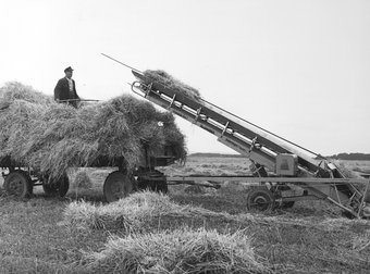 Steilförderband in der Landwirtschaft, 05/1956