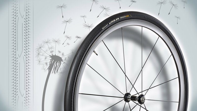 Conti_UrbanTaraxagum_1