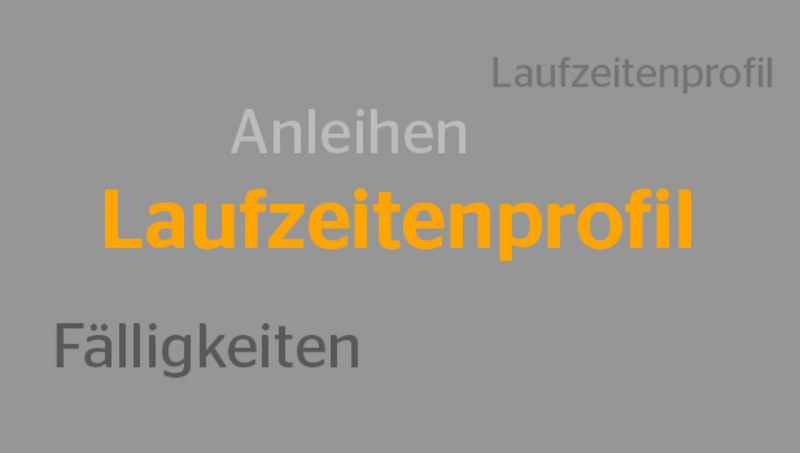 Grafik Finanzierungsstrategie