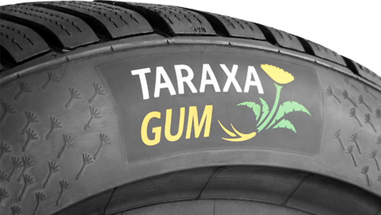 Taraxa Gum