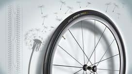 Continental Tire made of Dandelion Rubber wins German Sustainability Award