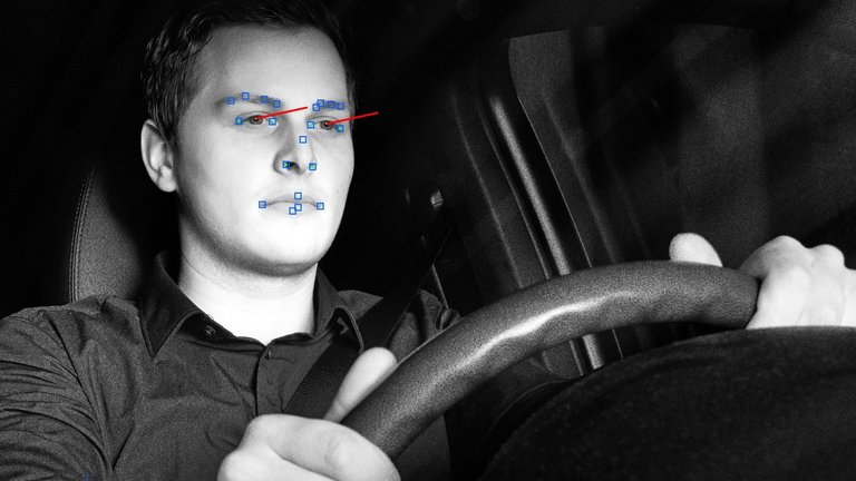 Cruising Chauffeur: Driver's gaze pattern