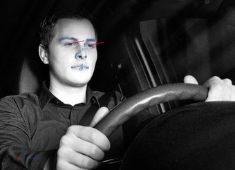 Cruising Chauffeur: Driver's gaze pattern