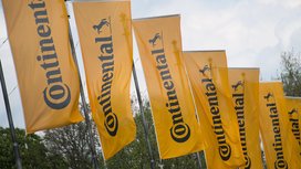 Pictures of the Executive Board Members