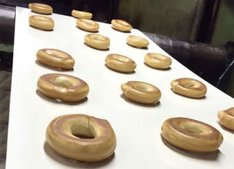 White Conveyor Belts