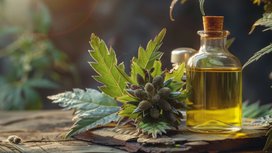 Mit Continental in eine nachhaltigere Zukunft