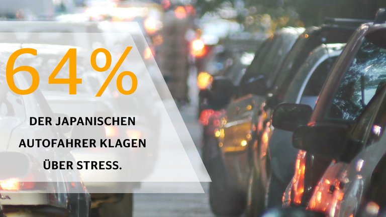 Mobilitätsstudie 2018