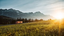 VECTO: Continental Offers CO2 and Fuel Consumption Calculator to Perform Sustainability Check on Its Tires
