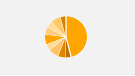 Shareholder Structure